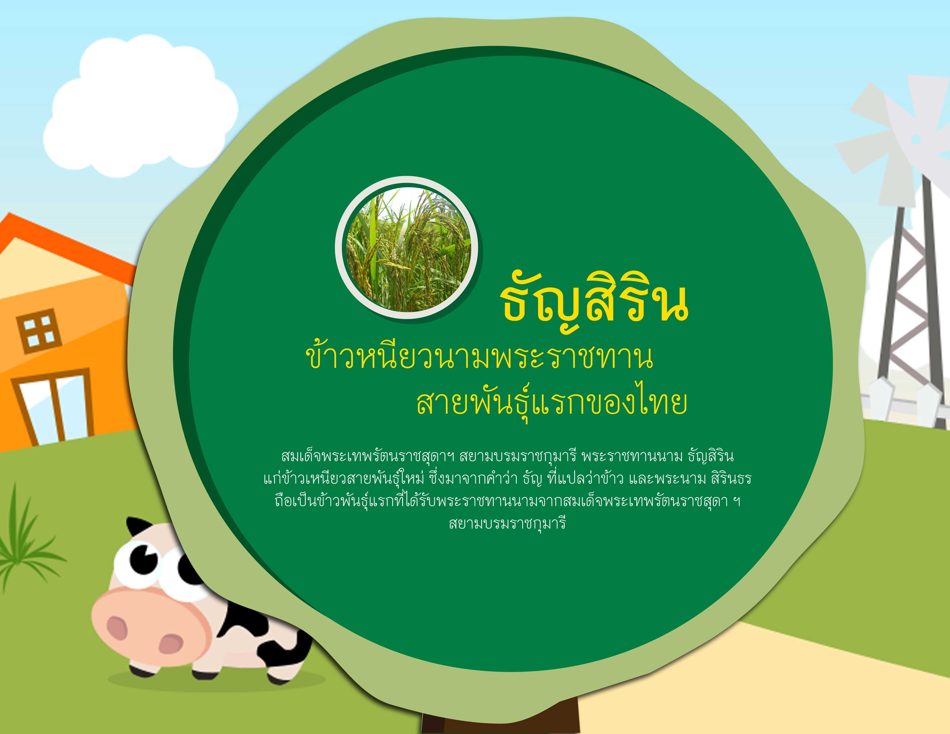 This image has an empty alt attribute; its file name is 11052016_Mueang-kwamdee_06_009.jpg